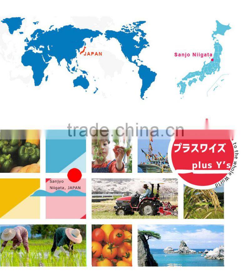 Strong and Safe high quality Japanese vegetable harvesting knives