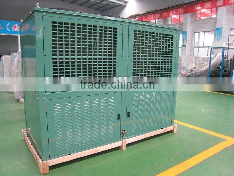 Box Type JZQ Series Condensing Unit for Cold Storage Room and Vegerable Fresh with Copeland Compressor