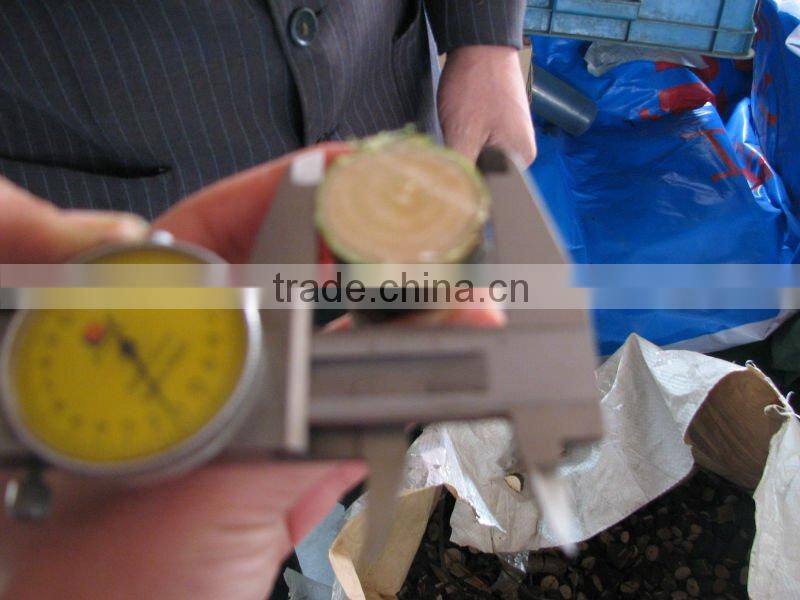 max power pruning shears