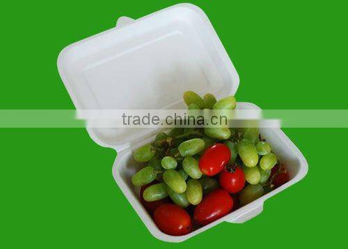 Biodegradable recyclable cheap price food packaging tunisia containers