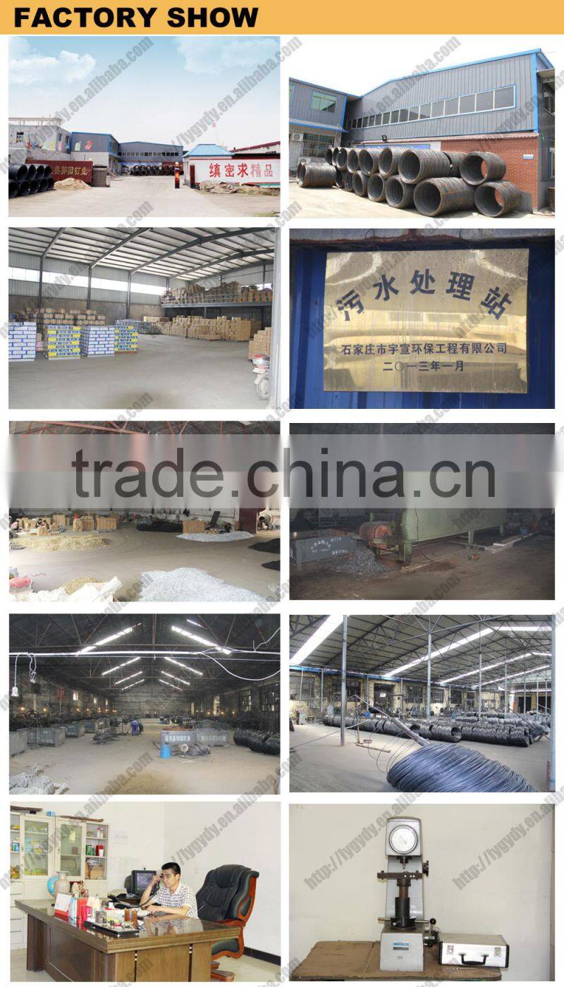 pure iron nails/common nail/large head nail