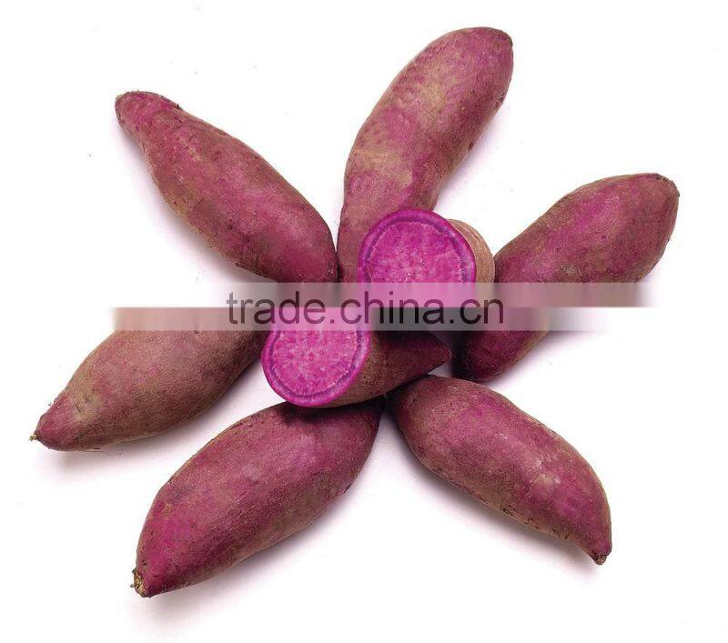 fresh sweet potato for sweet potato chips