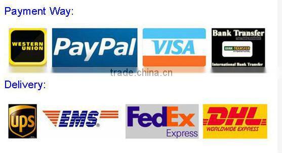 Super Bright E-Mmark LED license plate light led registration plate lamp led number license light for BMW F10/F18/F25