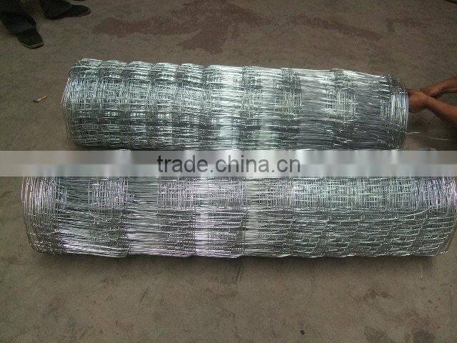 baseball sport field fence