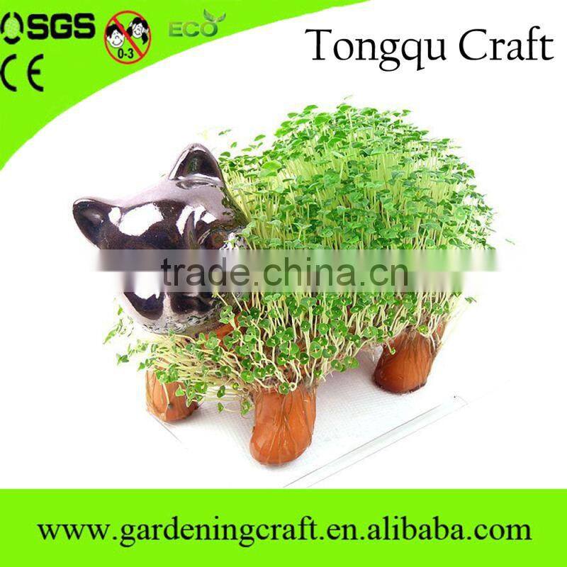 return gifts for birthday chia pet diwali gifts baby shower gifts