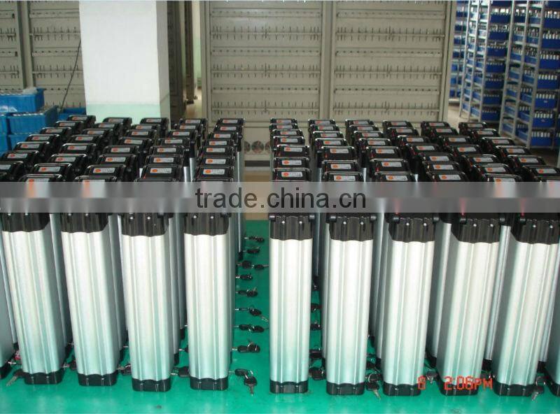 24v silver fish battery