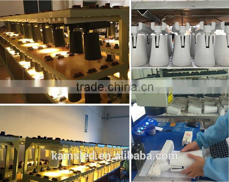 Global design spot track lighting high lumen rail light COB 30W LED Track Light