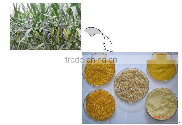 Complete set of Corn/grain processing equipment