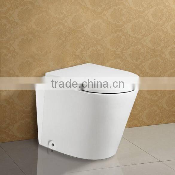 Floor Standing Ceramic Toilet WC