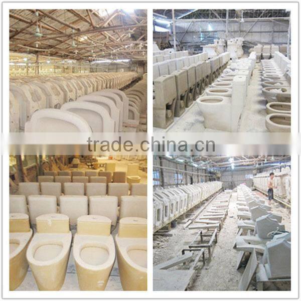 Chinese Public Porcelain Toilet without Cistern