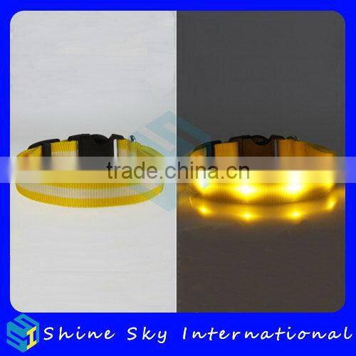 Fashion Unique Dog Led Collar Leash