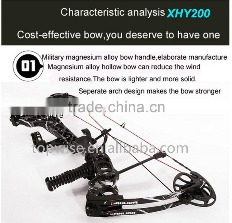 2016 New Design Compound Bow for Hunting and Shooting