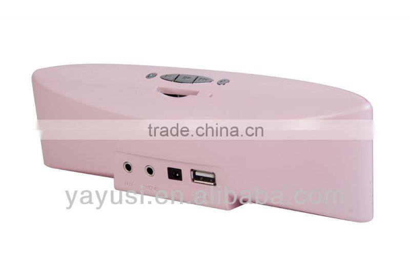 Portable FM speaker support SD/TF card