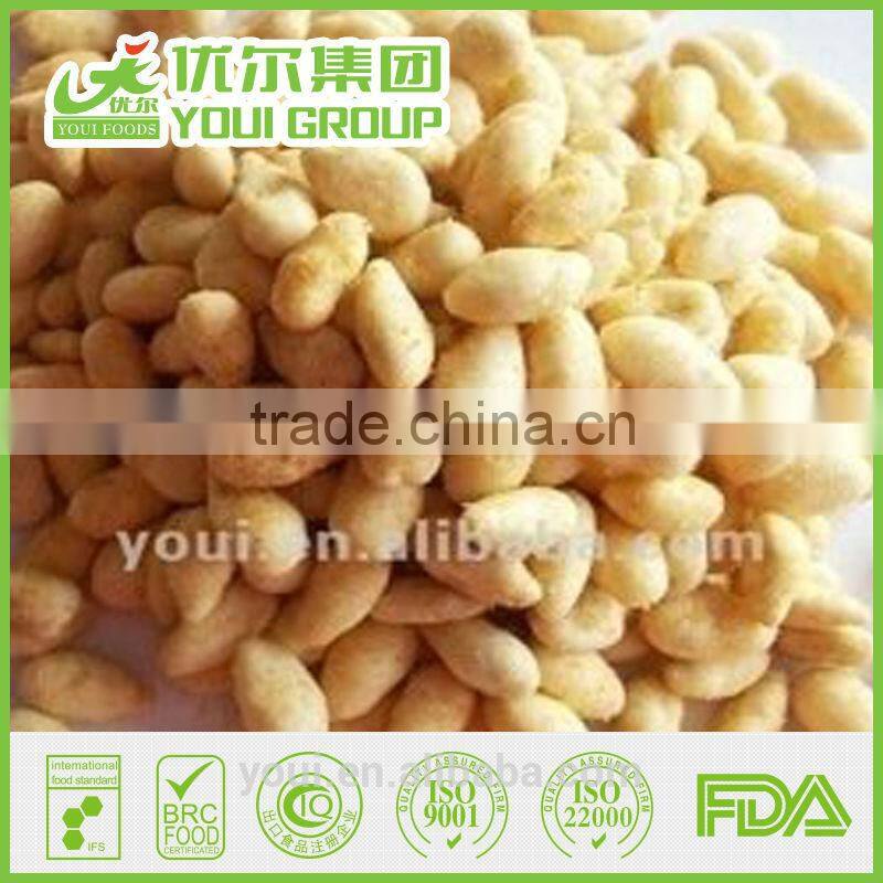 Colorful Sunflower Seed Kernels Snacks