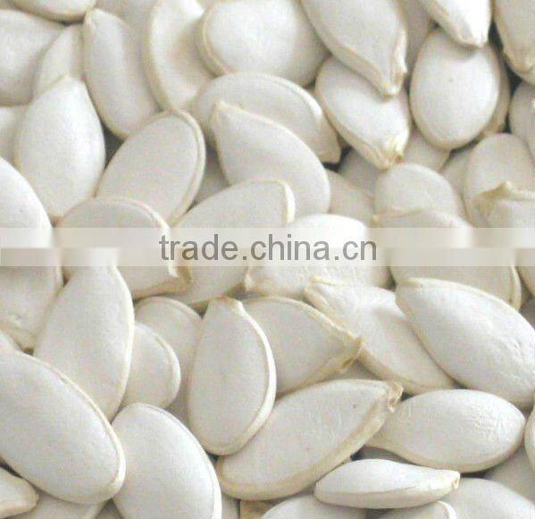 2011 new crop snow white pumpkin seeds,edible pumpkin seeds