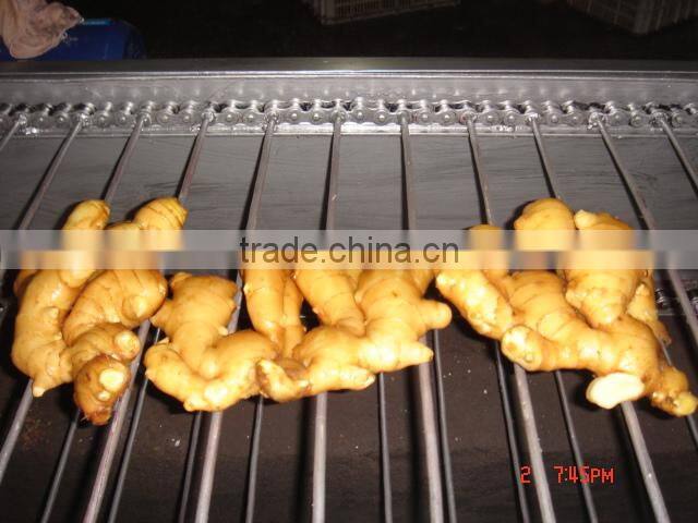 Chinese cheaper fresh ginger