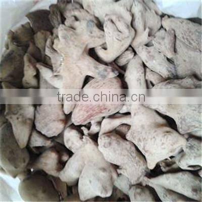 Well Dry New Crop 2015 Chinese Gall