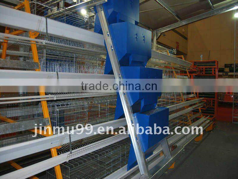 layer chicken poultry house