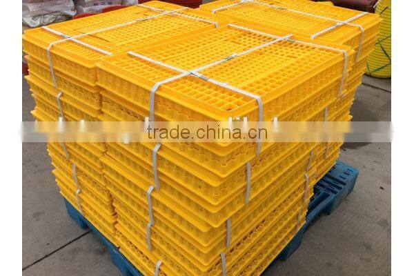 Live chicken transport box/plastic broiler transport crate