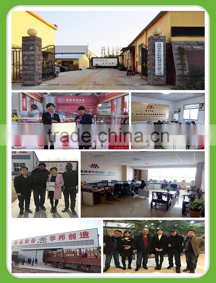 hot sale China supply poultry slat floor