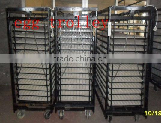 2013 best sellers automatic egg incubator(19712 eggs)