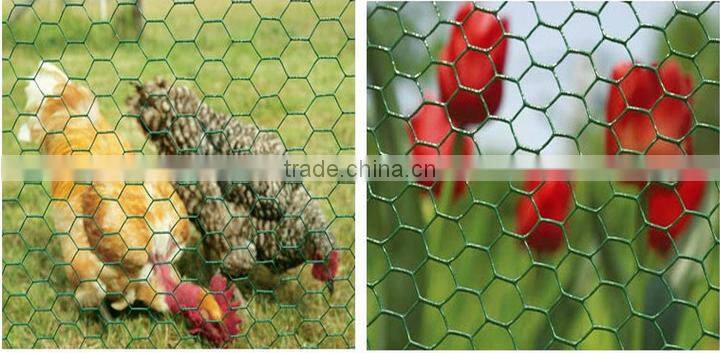 PVC coated hexagonal wire mesh / wiremesh panel / hexagonal wiremesh fencing