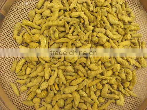 moringa leaf drying machine microwave oven