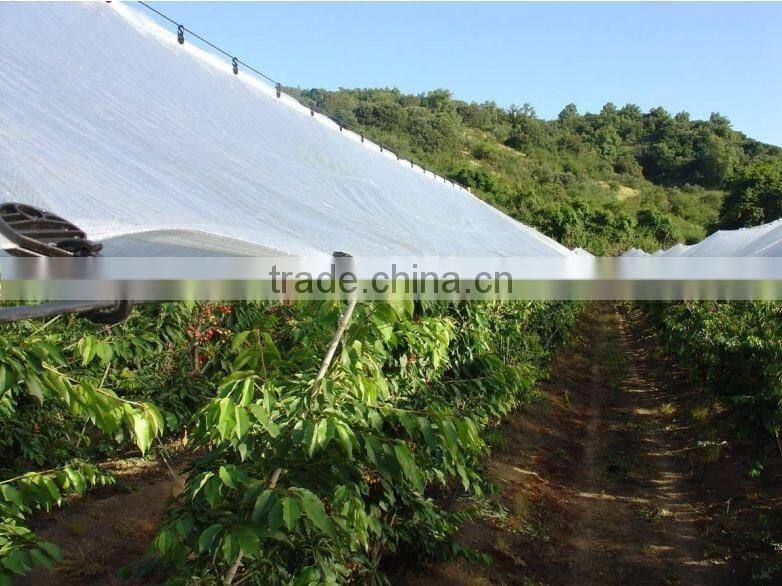 Chile plastic protection rain cover for orchard tree / woven cover cherry from rain