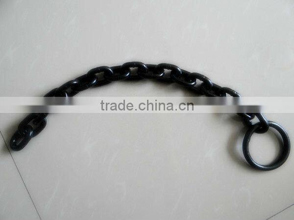 Rigging Hardware supply chain hoist