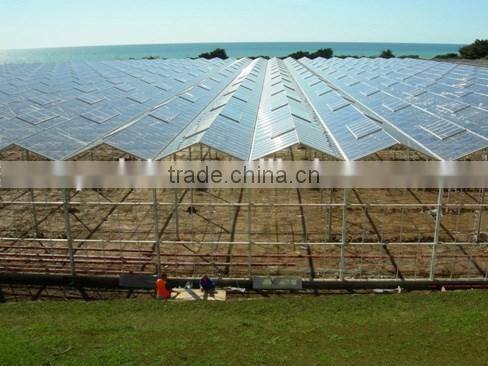 Sunshine glass greenhouse ecological agriculture