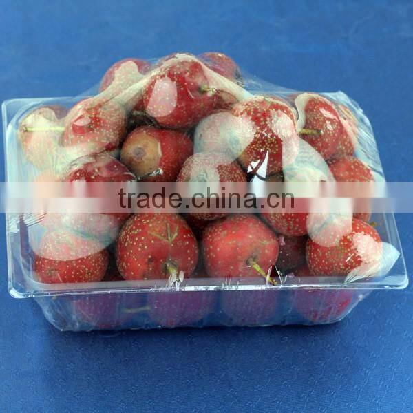 clamshell blister plastic box for fruit vegetable container