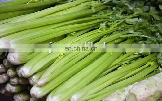 Chives reaping machine/leeks harvest machine/harvester for fragrant-flowered garlic on sale