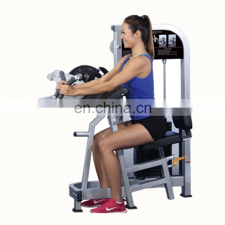 High Quality Commercial Cybex Biceps Triceps Curl Fitness Gym Machine
