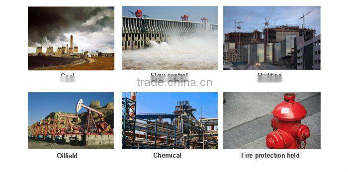 BV approved sdnr globe valve