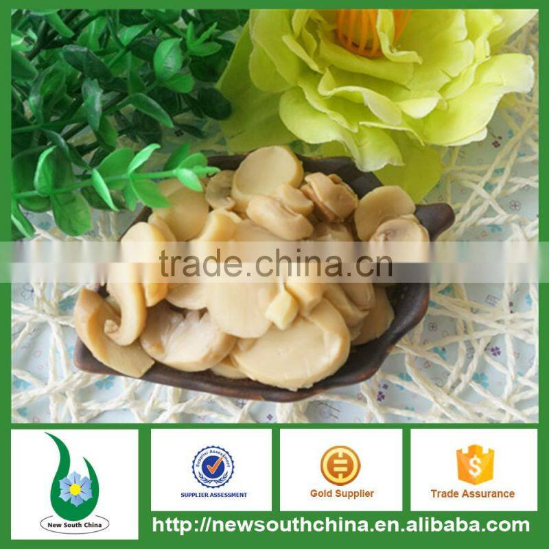 High quality canned mushroom products for hungarian canned food markets