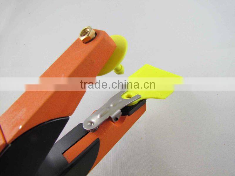 sell animal swine ear tag ,laser ear tag