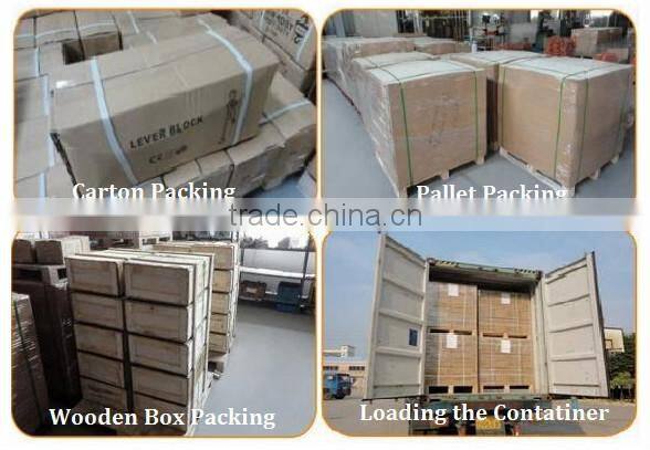 Light Lifting Equipment Polyester Webbing