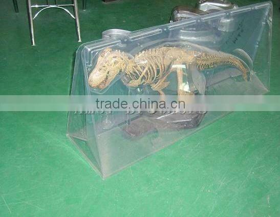 plastic blister packaging for toy display,OEM design