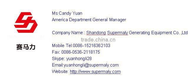 1MW gas generator from supermaly power