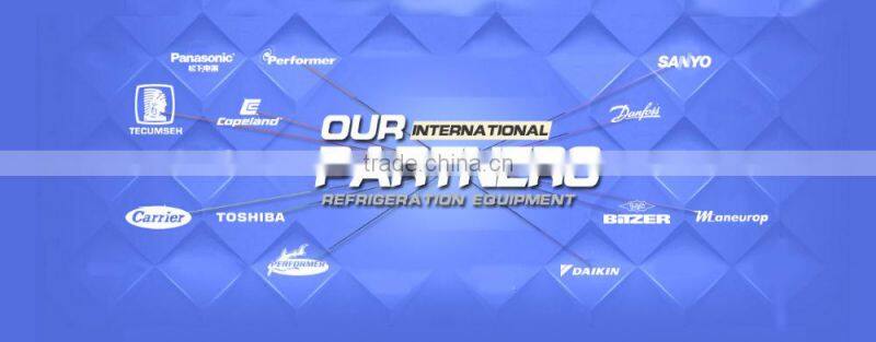 06DR109 Carrier compressro model, Carrier Compressor model,carlyle compressro 2h