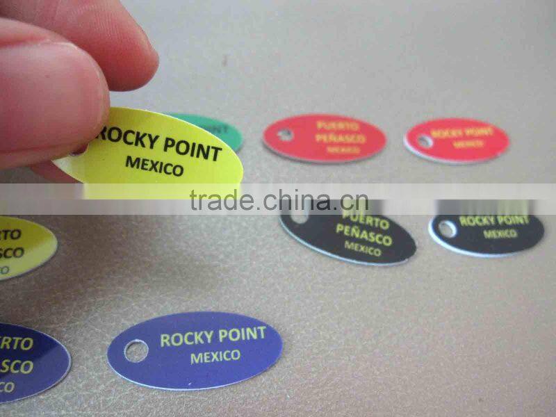 clothing tag pantone plastic luggage tag(M-PT291)