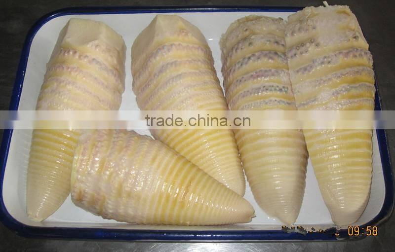 March spring season food canned bamboo shoot on hot sell