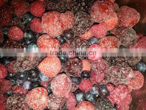 IQF frozen mixed berries