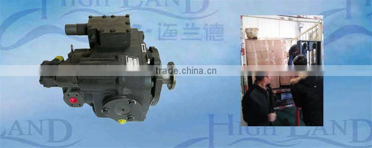 China made dual hydraulic pump