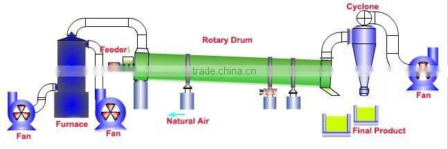WSG250 wood rotary drying machine-daivy