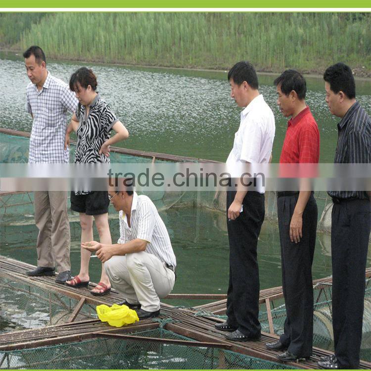 BAOXUEKANG Biological Fungicide For the Aquaculture Animals of Aquaculture fungicides