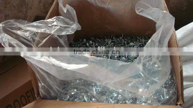 galvanized umbrella head roofing nail