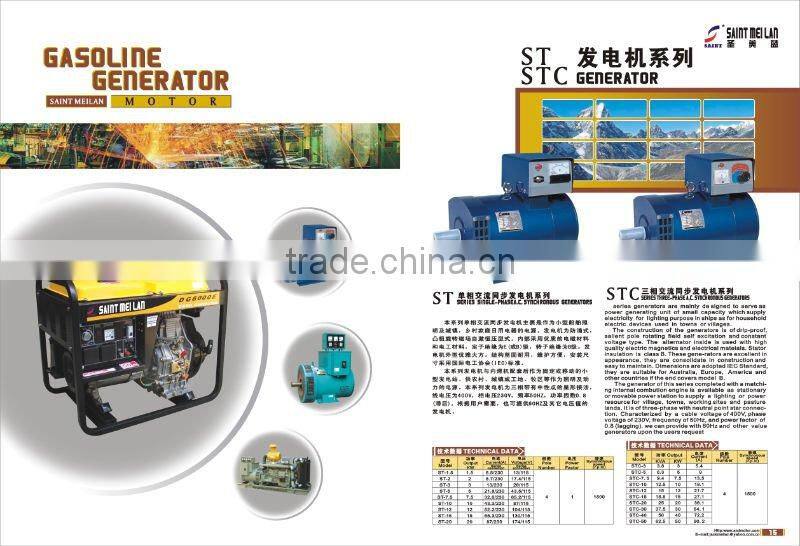 DG1000E Electric Generator 1kw Power Supply (Welding Machine)