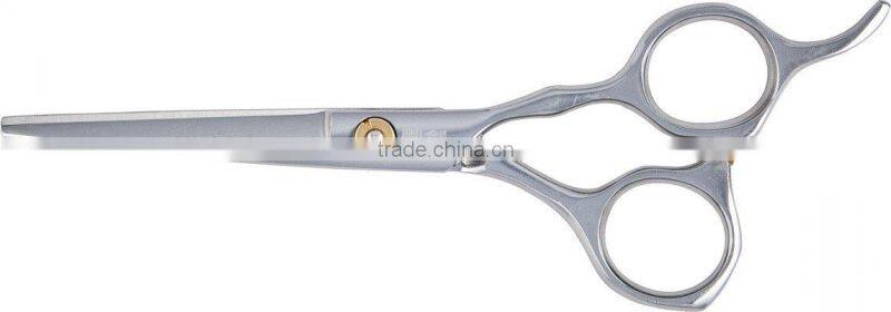 Stainless Steel Scissors