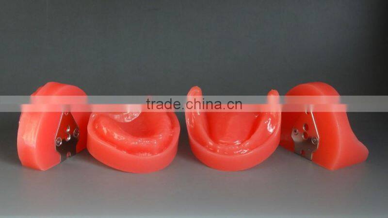 Dental functional edentulous jaws model DEA-30